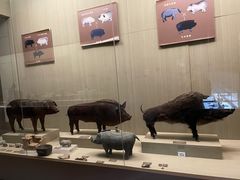 -中国农业博物馆