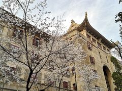 -武汉大学-樱园