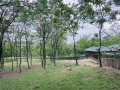 -合肥野生动物园