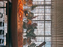 -君悦酒店·乐厨·高空自助餐(青年大街店)
