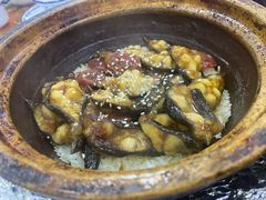 -红星光发煲仔饭(大石街店)
