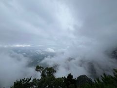 -庐山风景区花径公园