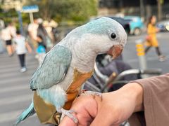 -苏州河梦清园环保主题公园