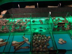 -JUKEBOX玖部音乐餐厅(华侨城店)