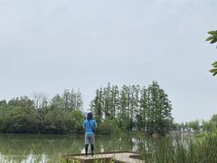 -上海长兴岛郊野公园