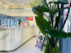 -山与蓝·轻糖鲜果蛋糕(勒泰店)