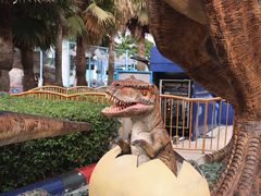 -海合安武汉极地海洋公园