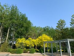 -仁和公园(顺义区)