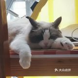 冠状病毒🦠治疗
