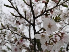 -上海山野camping·户外天幕烧烤·团建拓展营地