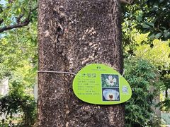 -广州神农草堂中医药博物馆