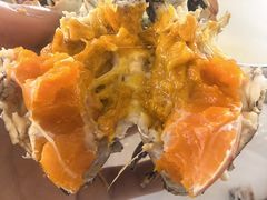 -蟹天蟹地农家菜·阳澄湖大闸蟹(浅水湾店)