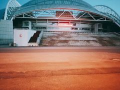-沈阳奥林匹克体育中心