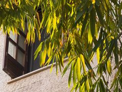 -抚仙湖万达文华酒店