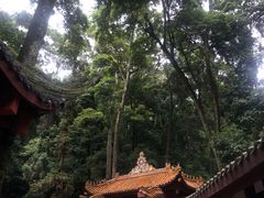 -凤栖山