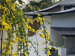-柠檬花院烤肉·会议团建·聚会·求婚(三圣乡店)