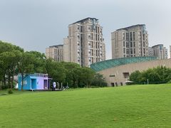 -新江湾城公园