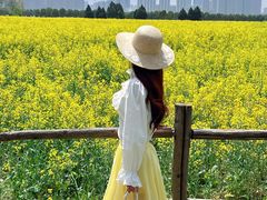 -汉长安城未央宫国家考古遗址公园