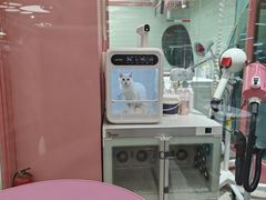 -FAELING PETS美天灵宠物(合生汇店)