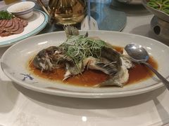 -海派美食·家宴海鲜青岛菜·石锅鲽鱼头(东方城店)