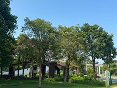 -福田红树林生态公园