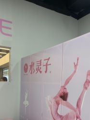 -水灵子·专注成人零基础