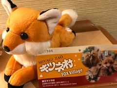 -宫城藏王狐狸村