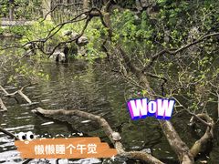 -叶家花园