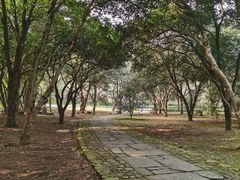 -杭州植物园