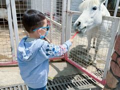 -金庭庄园酒店-停车场