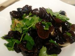 凉拌黑木耳-润泽园椰子鸡(汇一城店)