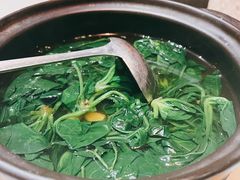 纯水浸时蔬-荟廷·晶萃(陆家嘴尚悦湾店)