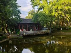 -南京古林公园