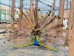 -南京金牛湖风景区