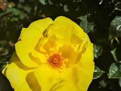 -人民公园(罗湖区)