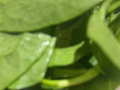 -佰人王串串香火锅(洋珠巷店)