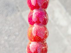无核山楂糖葫芦-和禄德冰糖葫芦