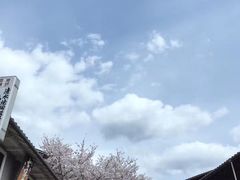 -有栖山 清光院 清水寺