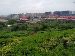 -丽晶美庐·玉兰餐厅