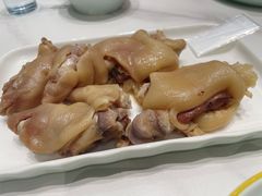 -丁老爷子苏香圆