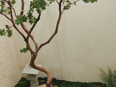 -五峰书院(南洋泾路店)