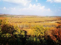 -塞罕坝国家级自然保护区