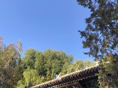 -张掖大佛寺景区