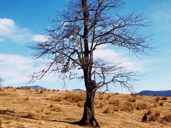 -硗碛藏寨·神木垒景区