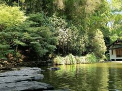 -杭州植物园