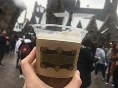 -哈利波特魔法世界