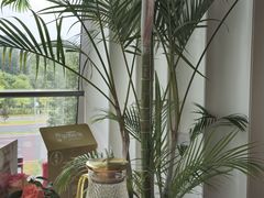 -粤界(望京金辉店)