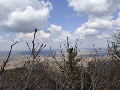 -香炉山国家森林公园