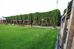 -醉库庄园·宴会厅·草坪婚礼场地