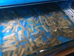 -加尔森烤肉海鲜·火锅烧烤自助